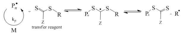 File:RAFT ReversibleChainTransfer.png