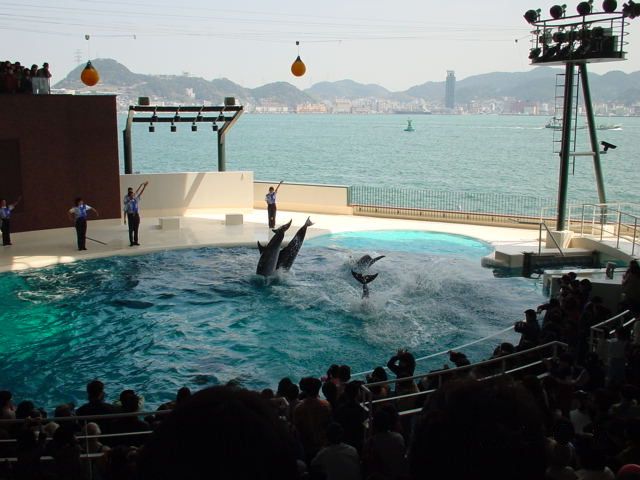 File:Shimonoseki aquarium.jpg