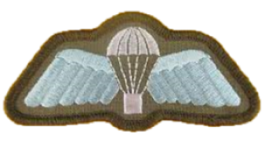 File:1RAR Parachutist Badge.png