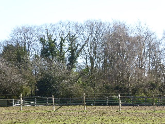 File:Blackhorse Quarry.jpg