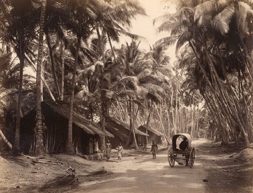 File:Charles T Scowen Landscape in Ceylon 1870s.jpg