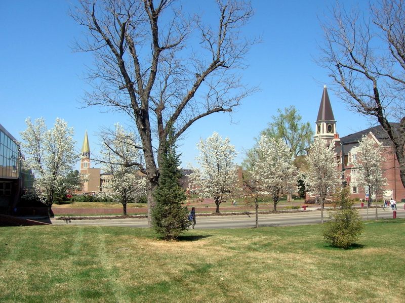 File:DU Richie and Ricketson spires in spring.jpg