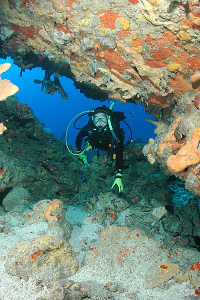 File:Monito diver in cave.jpg