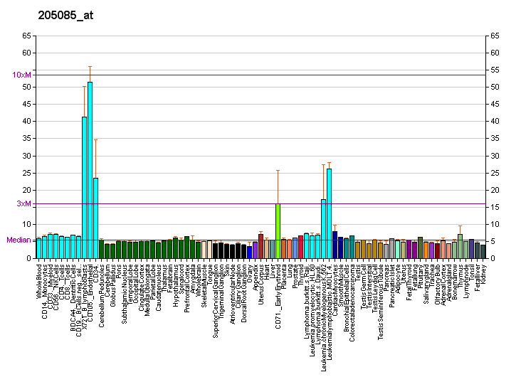 File:PBB GE ORC1L 205085 at fs.png