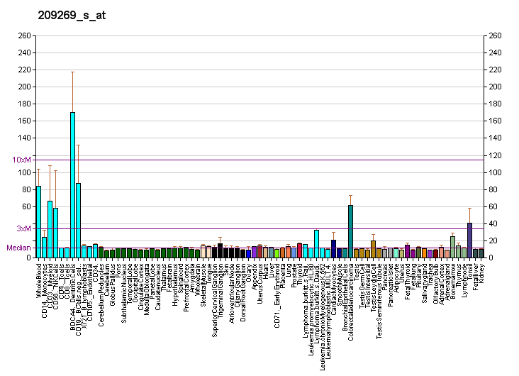 File:PBB GE SYK 209269 s at fs.png