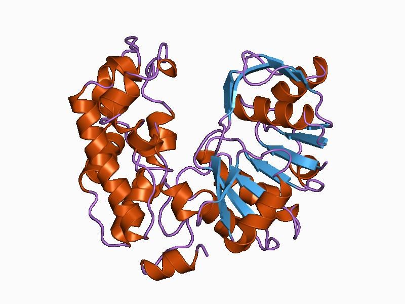 File:PDB 1bg6 EBI.jpg