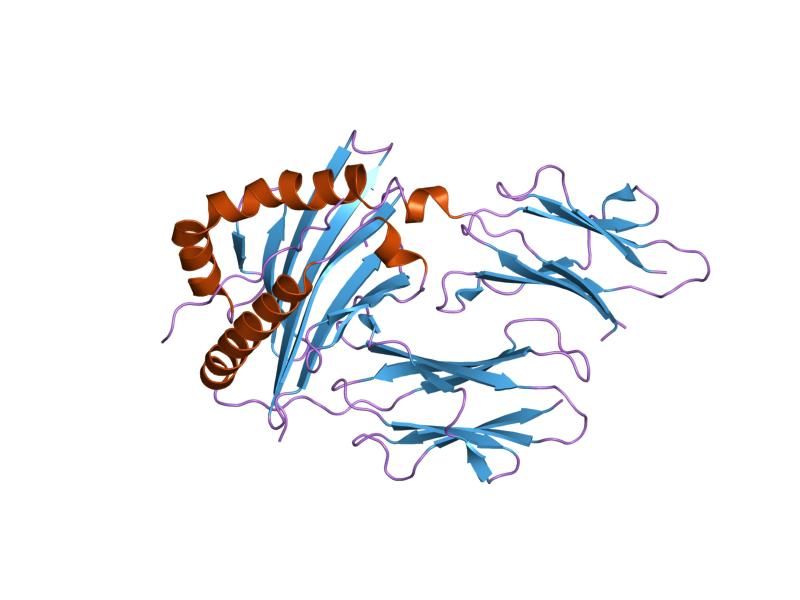 File:PDB 1es0 EBI.jpg