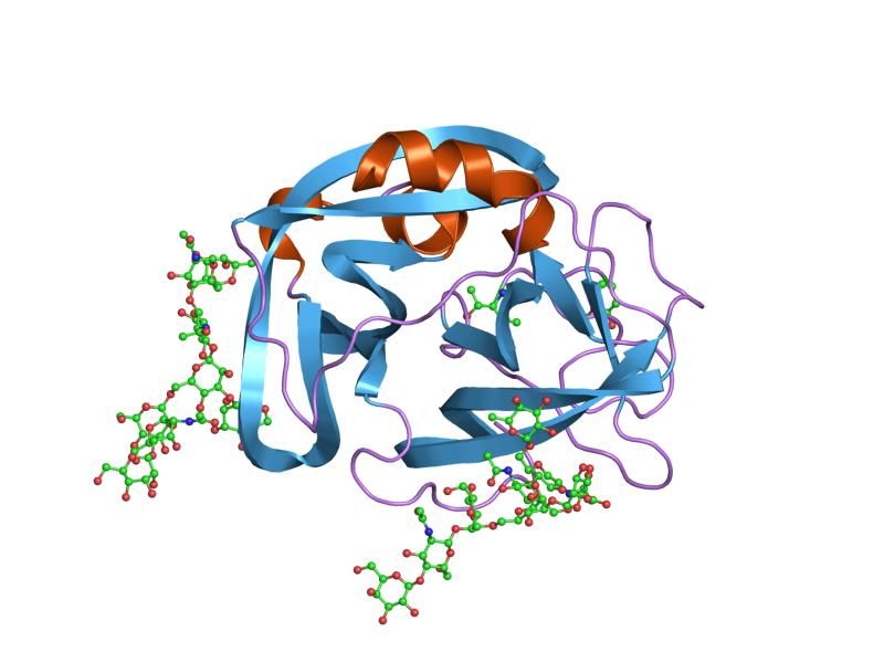 File:PDB 1ppg EBI.jpg