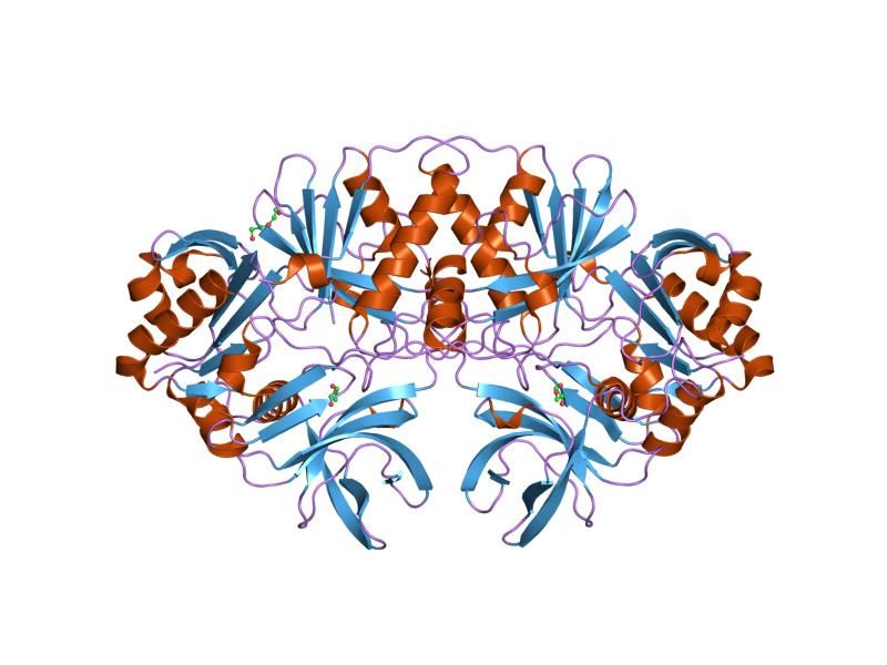 File:PDB 1v5v EBI.jpg