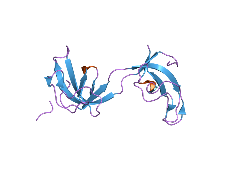 File:PDB 2hkn EBI.png