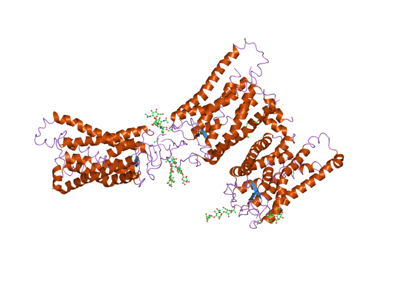 File:PDB 2i36 EBI.png