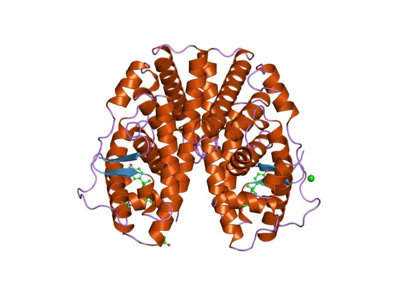 File:PDB 3erd EBI.jpg