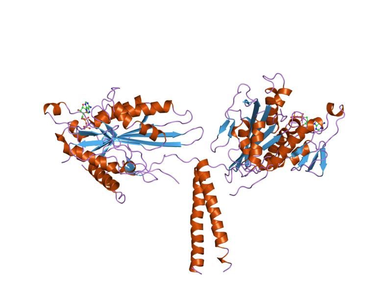 File:PDB 3kin EBI.jpg