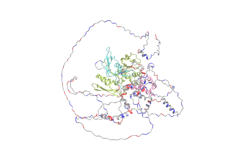 File:DENND2C 3D structure.png