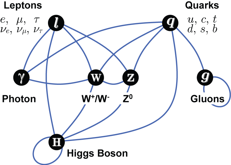 File:Elementary particle interactions-en.png