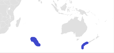 File:Etmopterus viator Range.png