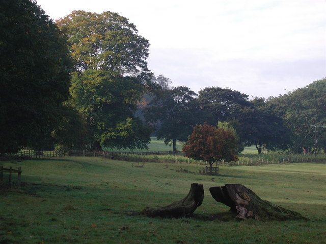 File:Grimston Park - geograph.org.uk - 573410.jpg