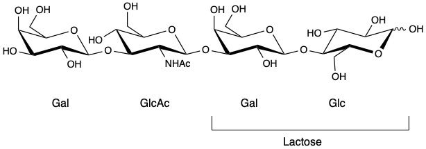 File:Lacto-N-Tetraose Structure.jpg