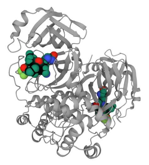 File:Nirtalmatrelvir on 3CL.png