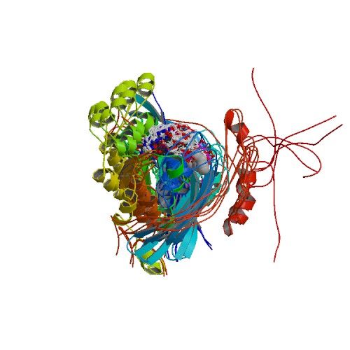 File:PBB Protein WAS image.jpg