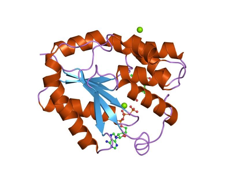 File:PDB 1e9a EBI.jpg