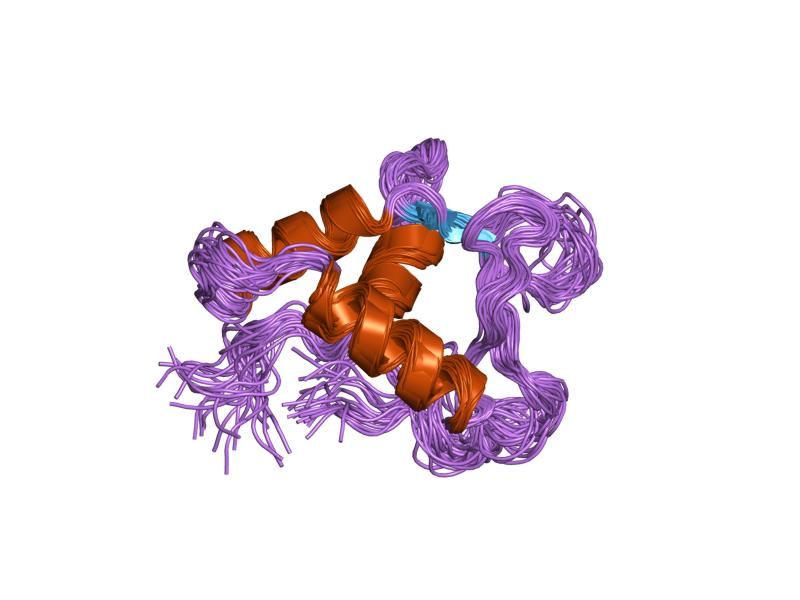 File:PDB 1fli EBI.jpg