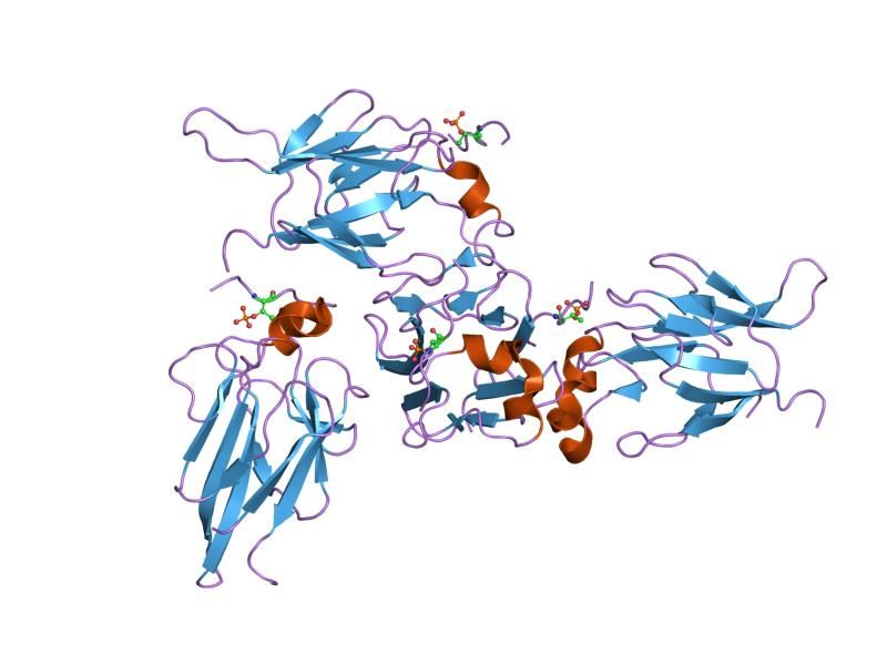 File:PDB 1gxc EBI.jpg