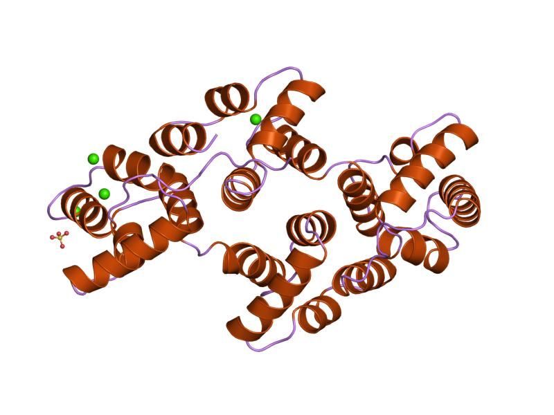 File:PDB 1hvf EBI.jpg