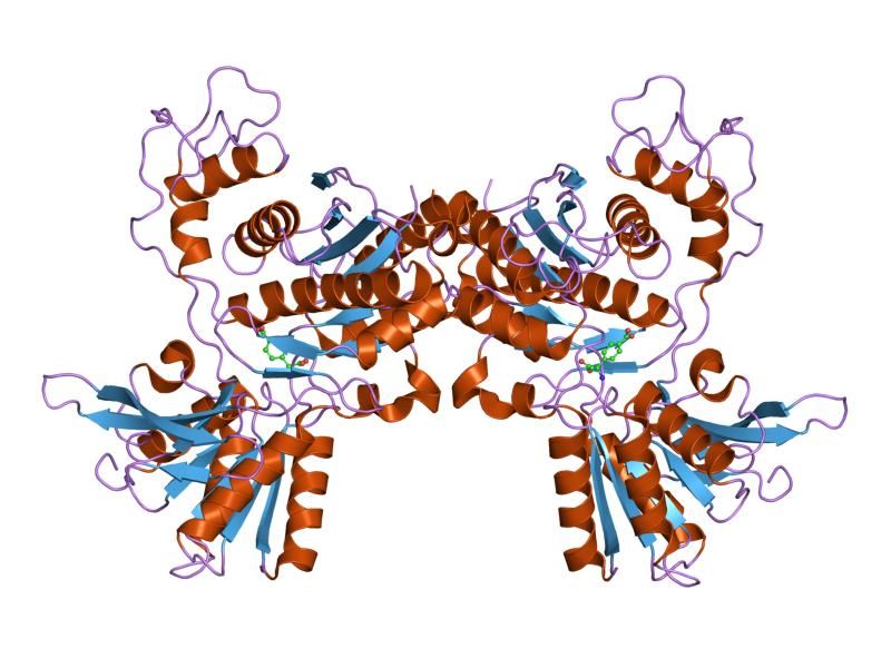 File:PDB 1iss EBI.jpg