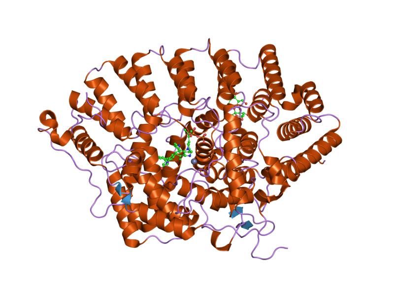 File:PDB 1sa4 EBI.jpg