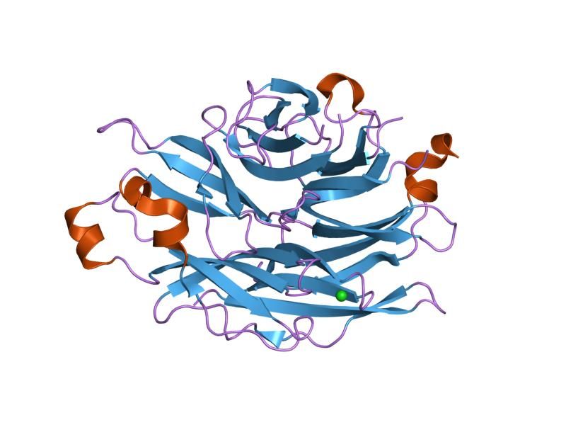 File:PDB 1so7 EBI.jpg