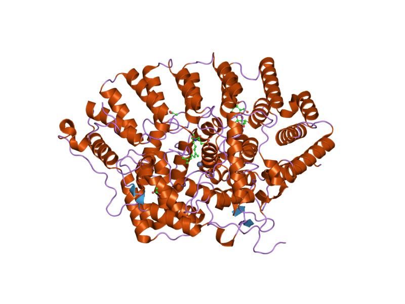 File:PDB 1tn6 EBI.jpg