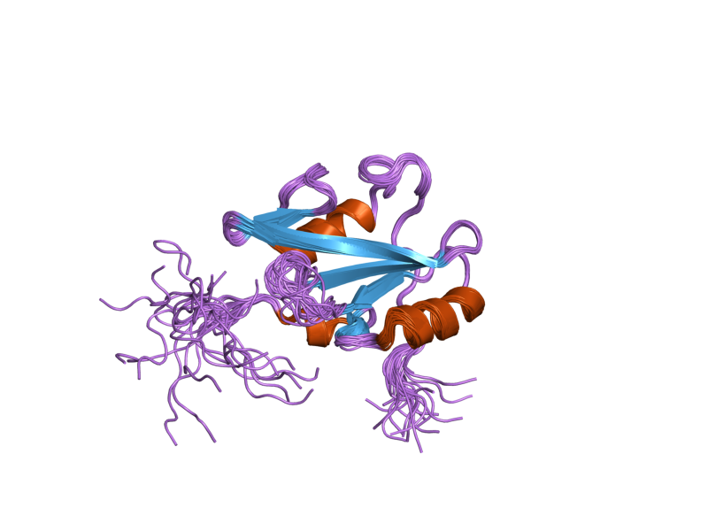 File:PDB 2dlz EBI.png