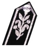 File:SJAS Commissioner Gorget Patch.jpg