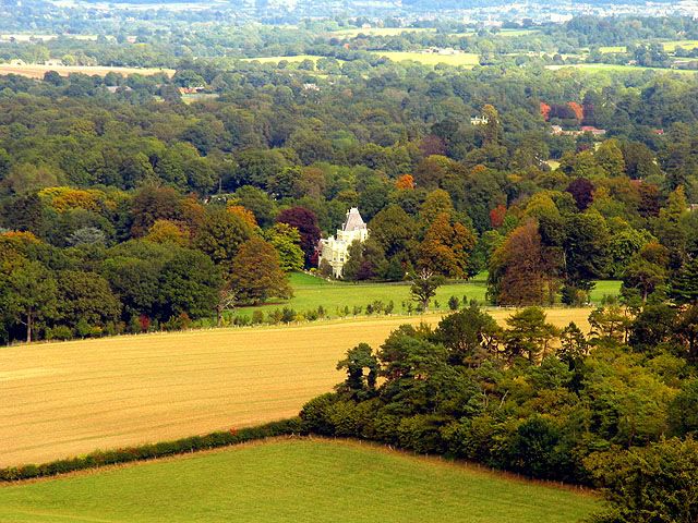 File:Stargrove - geograph.org.uk - 62433.jpg