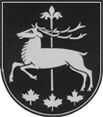 File:AUT Kleinsölk COA.jpg