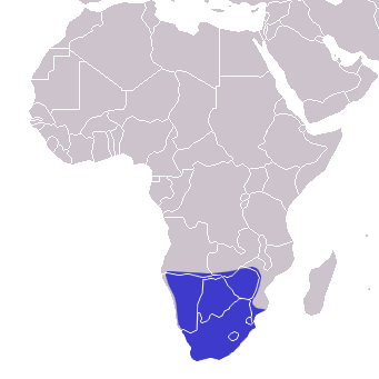 File:Distribution Pseudaspis cana.png