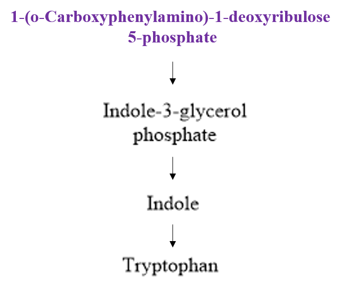 File:Downstream Pathway.png