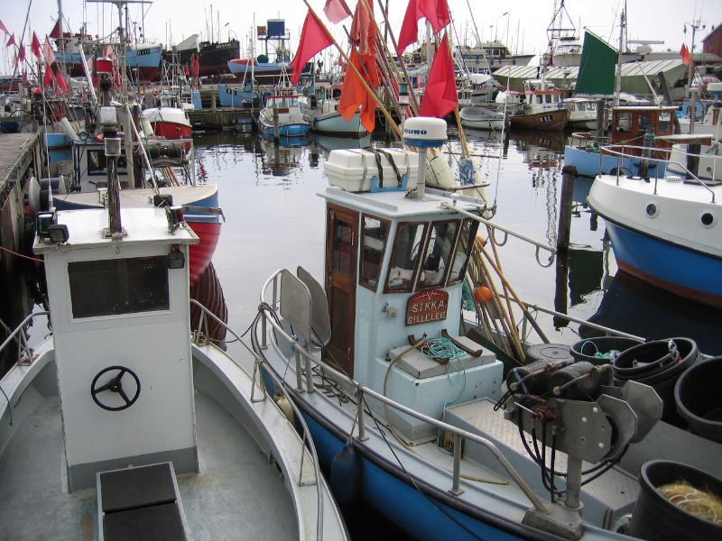 File:Gilleleje harbor.jpg