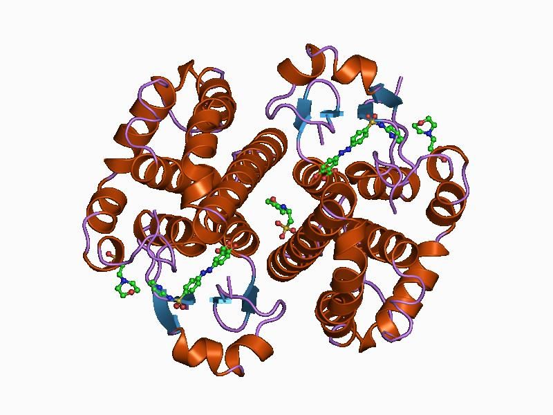 File:PDB 13gs EBI.jpg