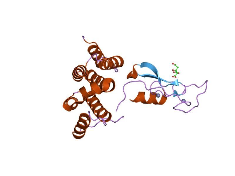 File:PDB 1dvp EBI.jpg