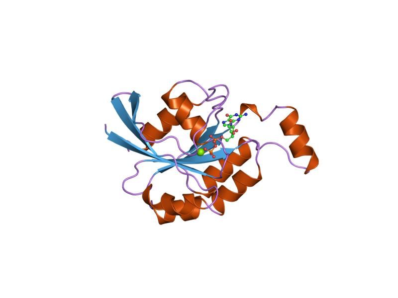 File:PDB 1ftn EBI.jpg