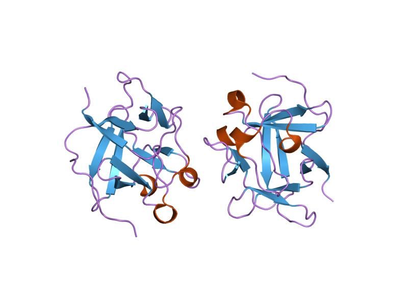 File:PDB 1q03 EBI.jpg