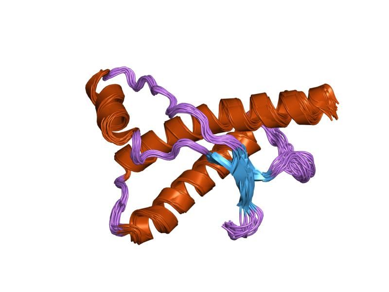 File:PDB 1qlz EBI.jpg