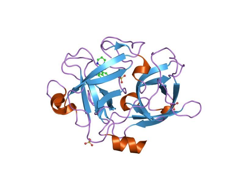 File:PDB 1sqo EBI.jpg