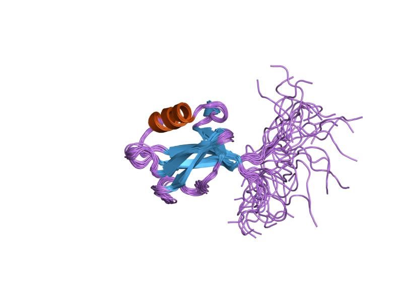 File:PDB 1ujv EBI.jpg