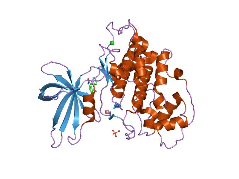 File:PDB 1uv5 EBI.jpg