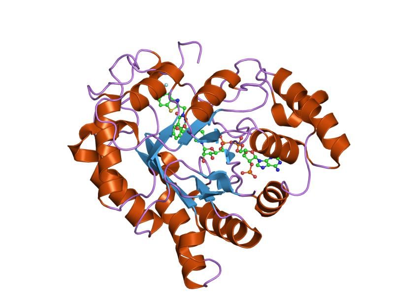 File:PDB 2duz EBI.jpg