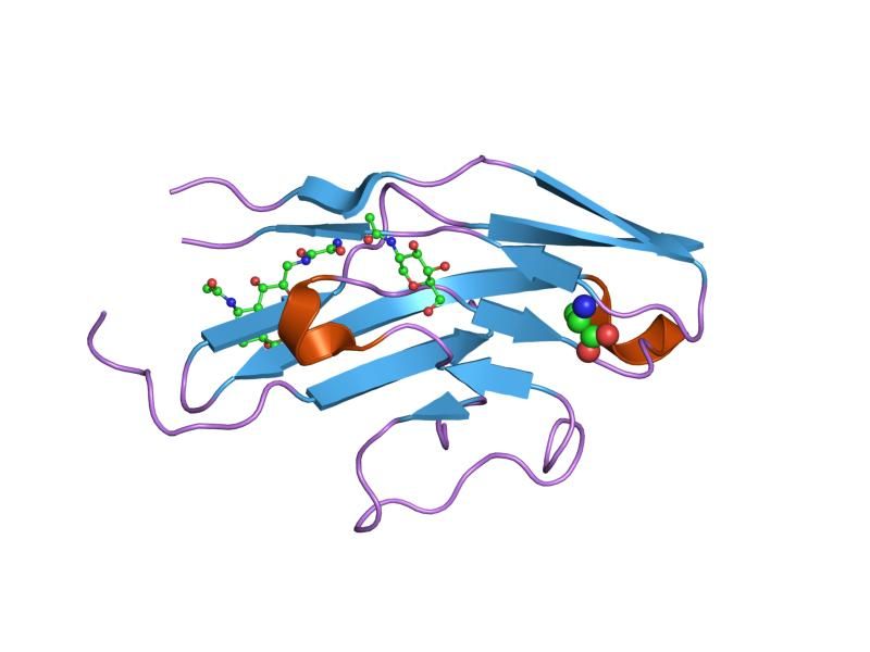 File:PDB 2g5r EBI.jpg