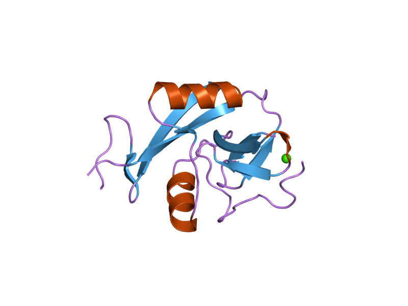 File:PDB 2h2t EBI.png